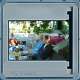 Bild 12 von 213