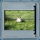 Bild 60 von 213