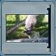 Bild 61 von 213