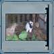 Bild 62 von 213