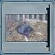 Bild 63 von 213