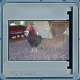 Bild 64 von 213