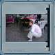 Bild 183 von 213